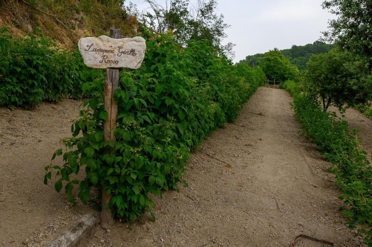 Agriturismo Le Fontane - Lago Di Bolsena Villa Grotte di Castro Екстериор снимка