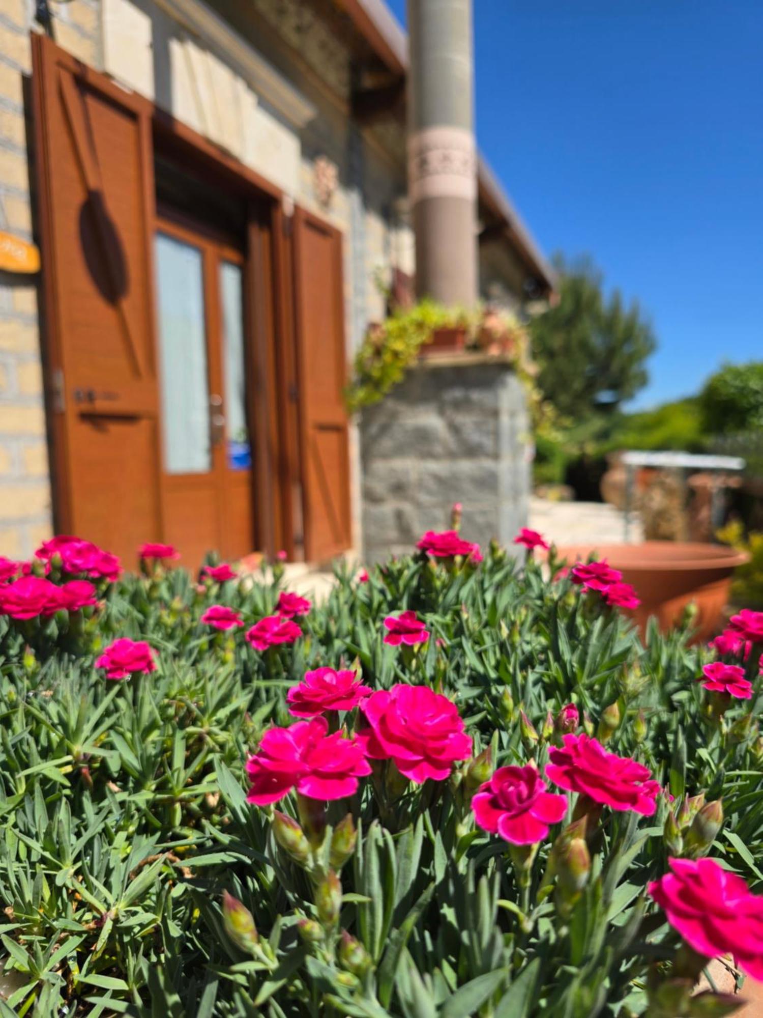 Agriturismo Le Fontane - Lago Di Bolsena Villa Grotte di Castro Екстериор снимка