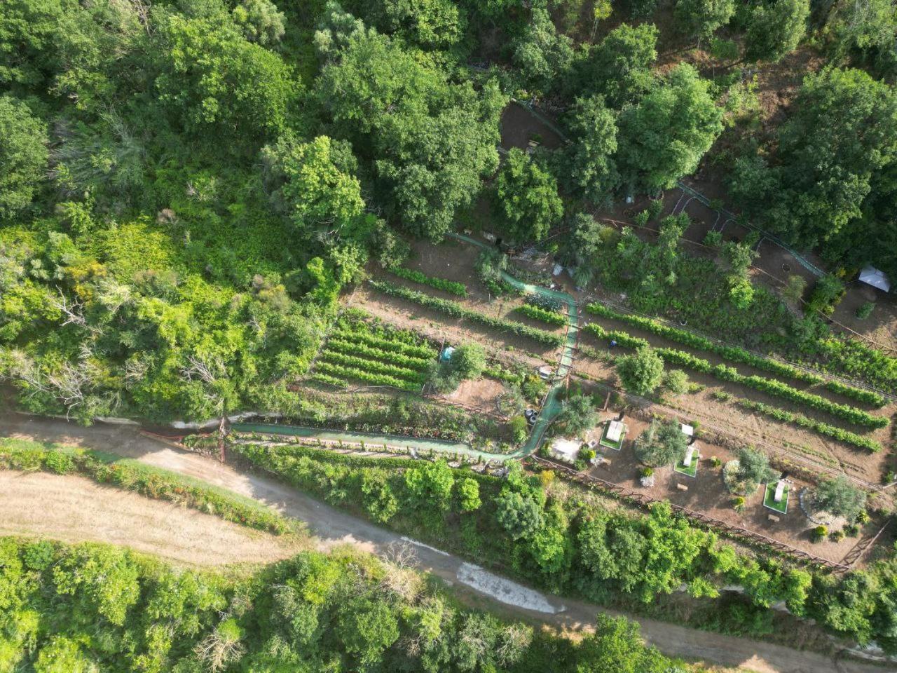 Agriturismo Le Fontane - Lago Di Bolsena Villa Grotte di Castro Екстериор снимка